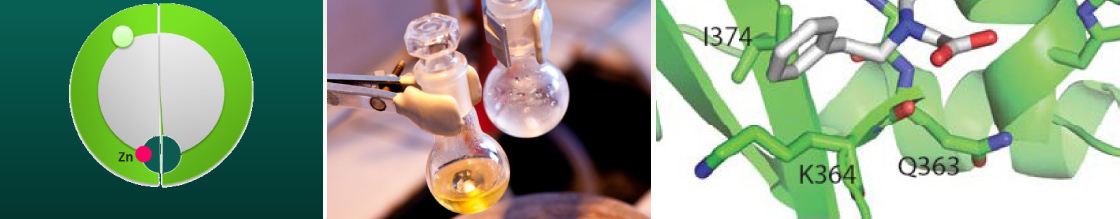 Insulin-Degrading Enzyme