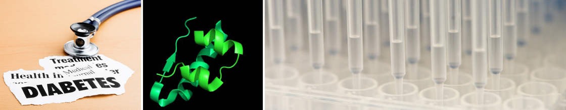 Insulin-Degrading Enzyme